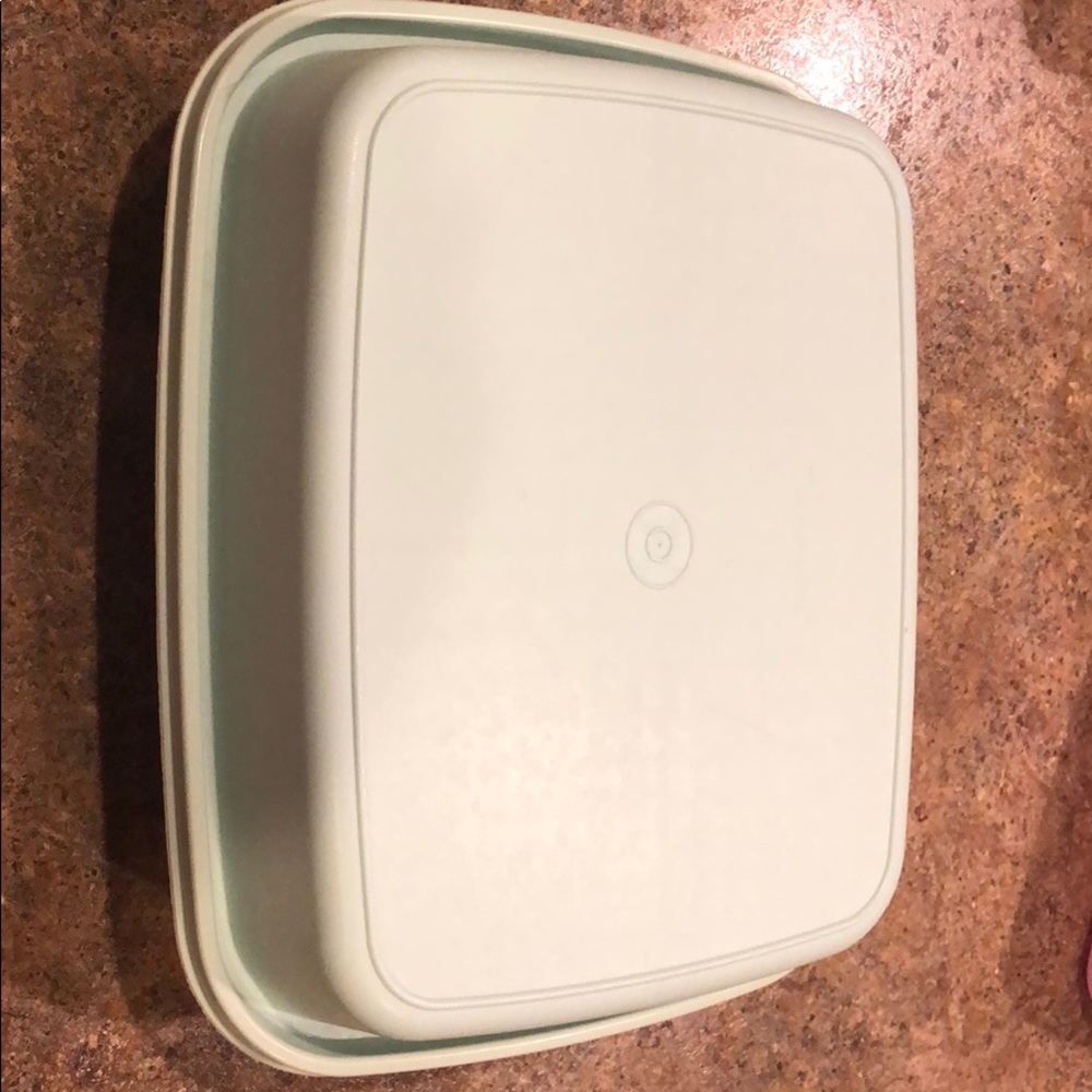 Vintage Tupperware Marinating Container